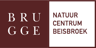 Brugge logo
